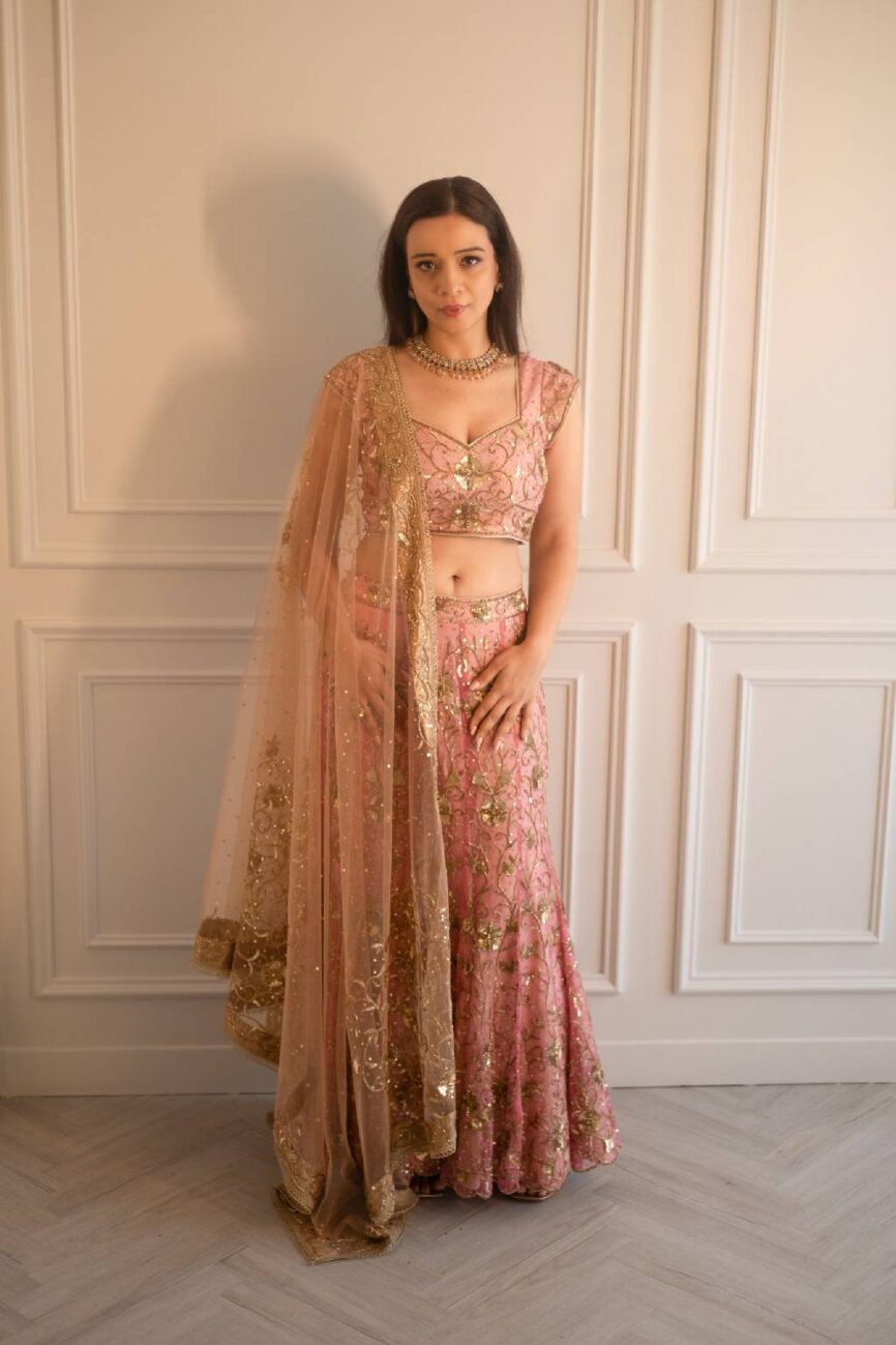 Pink Jaal Hand Embroidered Lehenga