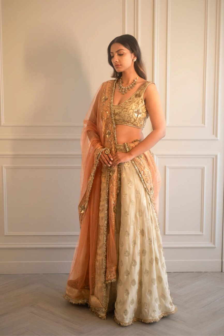 Ivory And Gold Georgette Brocade Lehenga
